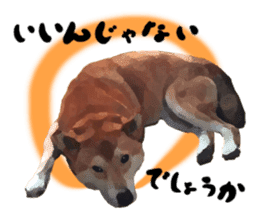 Sticker ShibaInu(vol1) sticker #9848857