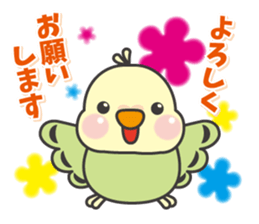 Parakeet of Pipipi sticker #9850858