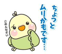 Parakeet of Pipipi sticker #9850864