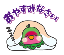Parakeet of Pipipi sticker #9850865