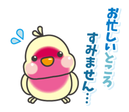 Parakeet of Pipipi sticker #9850868