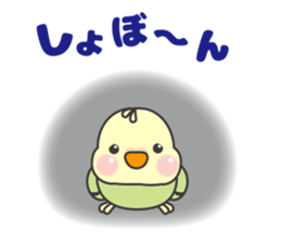 Parakeet of Pipipi sticker #9850871