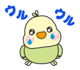 Parakeet of Pipipi sticker #9850893