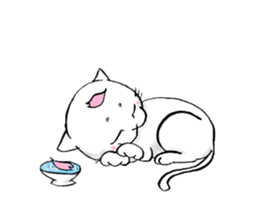 Life of a cat(Valentine's Day) sticker #9851859