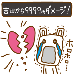 Cats love for Yoshida