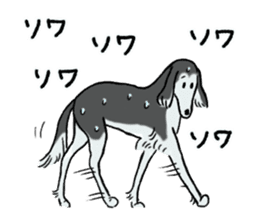 Afghan Hound, Saluki and Borzoi sticker #9852746