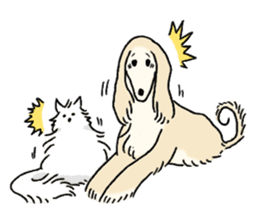 Afghan Hound, Saluki and Borzoi sticker #9852753