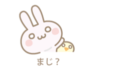 Feeling of a pretty rabbit sticker #9855555