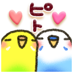 インコちゃん ラブリーな日常パック Lineクリエイターズスタンプ Stamplist