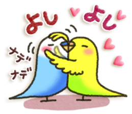 Budgerigar4 sticker #9856337