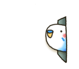 Budgerigar4 sticker #9856341