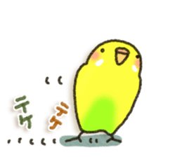 Budgerigar4 sticker #9856344