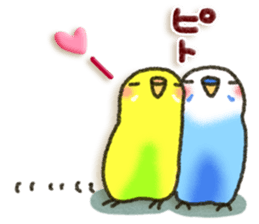 Budgerigar4 sticker #9856345