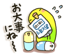 Budgerigar4 sticker #9856351
