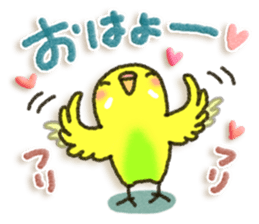 Budgerigar4 sticker #9856356