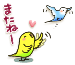 Budgerigar4 sticker #9856357