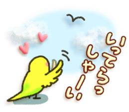 Budgerigar4 sticker #9856358