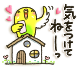 Budgerigar4 sticker #9856359