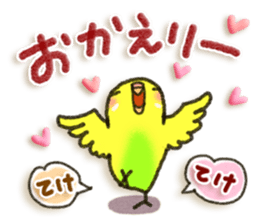 Budgerigar4 sticker #9856360