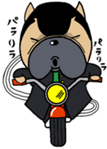 French bulldog Pistachio yankee sticker #9858466