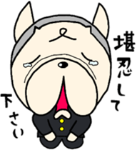 French bulldog Pistachio yankee sticker #9858492