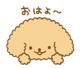 Poodle of cocoa sticker #9858856