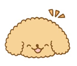 Poodle of cocoa sticker #9858868