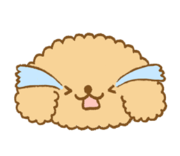 Poodle of cocoa sticker #9858877