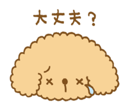 Poodle of cocoa sticker #9858878