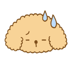 Poodle of cocoa sticker #9858879