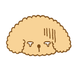 Poodle of cocoa sticker #9858882