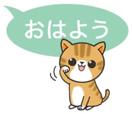 Today's cats sticker #9859576