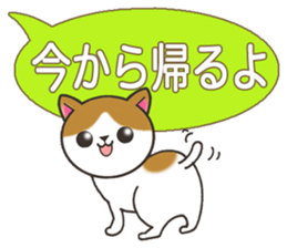 Today's cats sticker #9859580