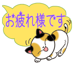 Today's cats sticker #9859584