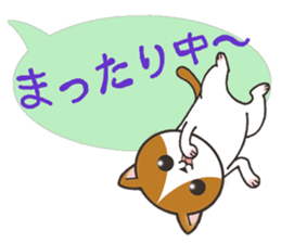 Today's cats sticker #9859586