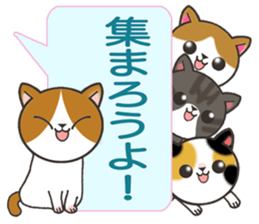 Today's cats sticker #9859592