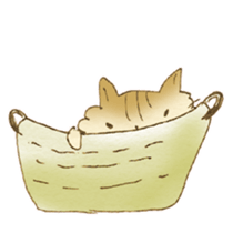 Chinchilla cat sticker #9859708