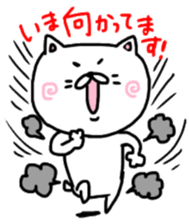 Cute white cat, please buy!! sticker #9860648