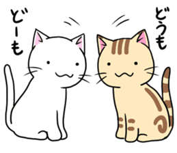 Cat life4<Spring> sticker #9861616