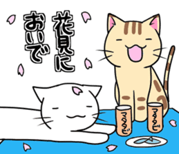 Cat life4<Spring> sticker #9861636