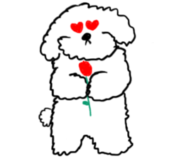 My Bichon! We love you'3' sticker #9862146