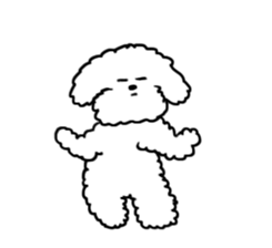My Bichon! We love you'3' sticker #9862159