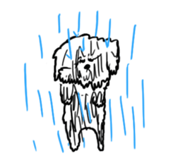 My Bichon! We love you'3' sticker #9862169