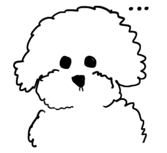 My Bichon! We love you'3' sticker #9862175