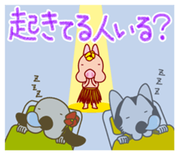 The dog doing the hula 4 for group chat sticker #9862858