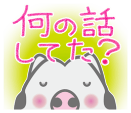 The dog doing the hula 4 for group chat sticker #9862872