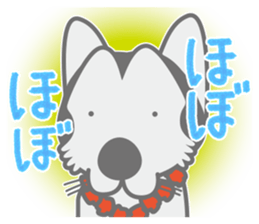 The dog doing the hula 4 for group chat sticker #9862886