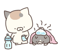 hagemashi cat nichijo 4 sticker #9863362