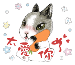 Cotton Ball and little rabbit sticker #9863416