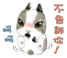 Cotton Ball and little rabbit sticker #9863420